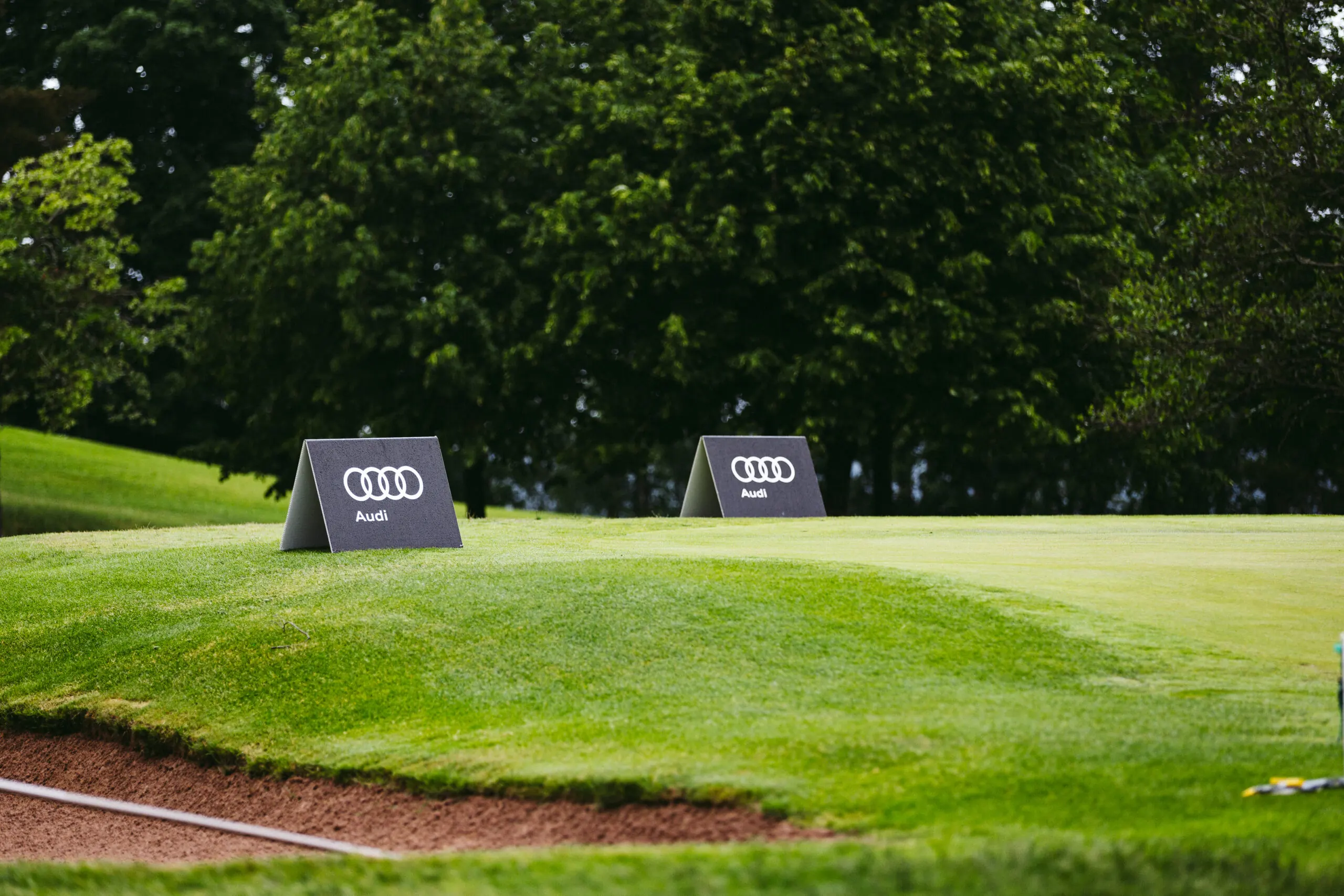 Audi e-tron Golf